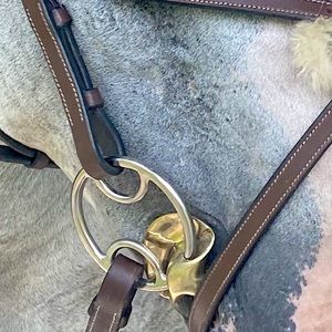 ✨Golden Wings 4-1 Gag Bit (USED)